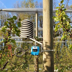 IOT Watch sensor orchard
